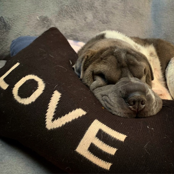 Meet your Posher, Mimi - Picture 2 of 4